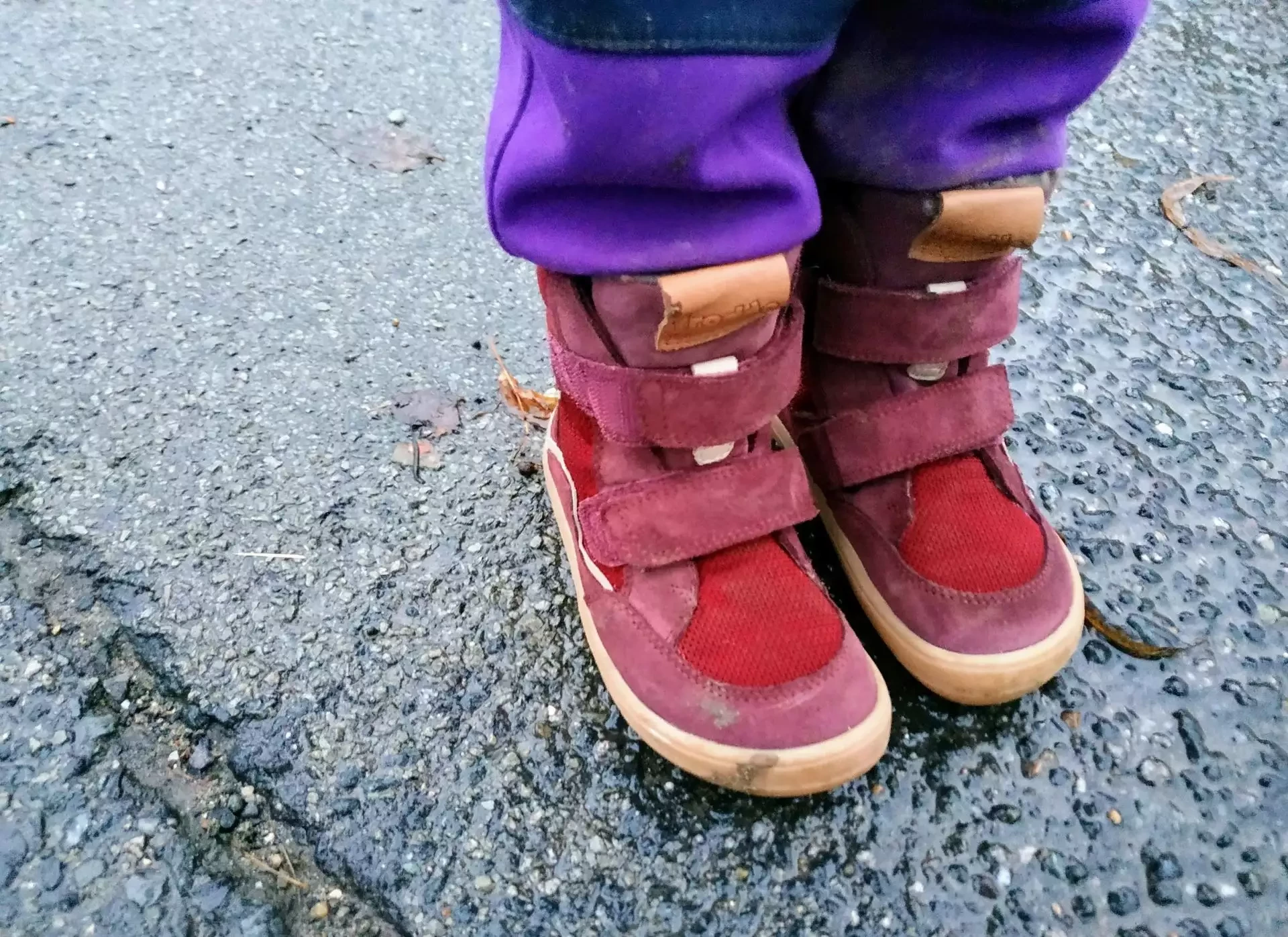 Zimní Froddo barefoot